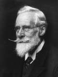 <strong>William Crookes</strong>