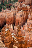 View From Rim Trail (Sunset Point To Inspiration Point)