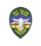 FALLON SAR 2.jpg