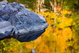 _MG_4259.jpg