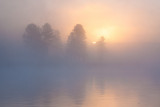 _MG_8494.jpg