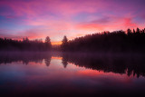 _MG_8080.jpg - perfect