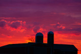 _MG_8877.jpg