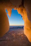 _MG_7831.jpg