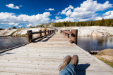 _MG_5636.jpg - Taking it all in.