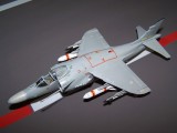 BAe Sea Harrier FA.2.jpg