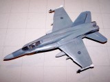 CF-18 Hornet.jpg
