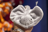 Short-tail stingray