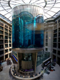 The AquaDom - Berlin