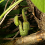 P6144538sqsm.jpg