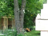 Derrière, lautre projet en cours (cabanon de palettes de bois)