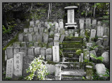 Forgotten graves
