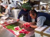 Tokyo fish market: quality inspection