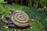 grass snail