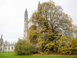 Kings college