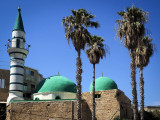 Mosquey green