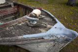 weathered boat