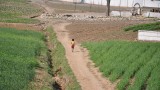 child walking home