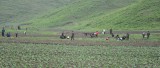 DSC_9853.jpg