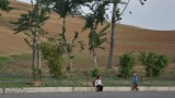 DSC_2164.jpg