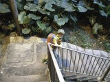 IMG_3524.jpg