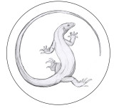 medallion sketch.jpg