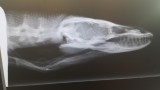 20140929_162825.jpg