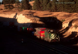 BNSF 6393 East At Bellmont, NE