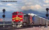 sf798west_at_west_baca.jpg