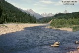 stream_in_glacier_park.jpg