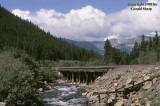 trestle_over_coalcreek.jpg