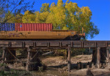 TACOMA FRED At Lefthand Creek, CO