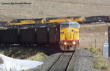 up6693_east_at_blue_mt_crossing_co.jpg