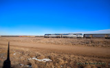amtrak202_east_at_tampa_co.jpg