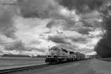 BNSF 1642 North At The NSS Highland, CO