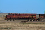 ns8102_at_swan_ranch_wy_1.jpg