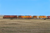 ns8102_at_swan_ranch_wy_2.jpg