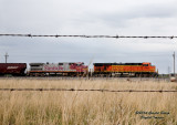 bnsf7688_south_laubel_at_sss_longs_peak_co.jpg