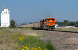 bnsf9114_east_at_east_roggen_co.jpg