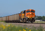 bnsf5924_east_at_east_roggen_co.jpg