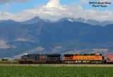 CSX 3096 South At Vermillion Road Crossing