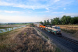 bnsf9481_south_chebgl_at_nss_longs_peak_co_2.jpg