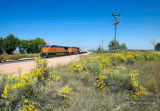 BNSF 4892 South At SSS Longs Peak, CO