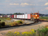 bnsf7307_south_lauden_at_sss_longs_peak_co_1.jpg