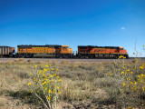 bnsf6118_west_at_tampa_co.jpg