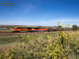 bnsf6294_west_at_tonville_co.jpg