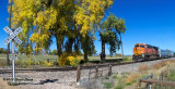 bnsf7079_south_track_geo_train_at_vermillion_road_co.jpg