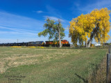 bnsf4497_at_vermillion_road_co1.jpg