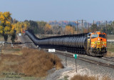 bnsf4497_at_sss_longs_peak_co.jpg