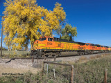 bnsf5033_south_at_vermillion_road_co.jpg